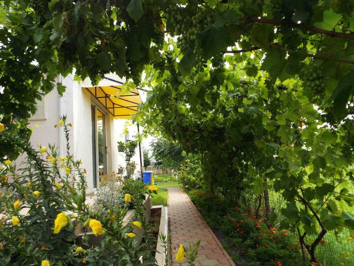 Casa Dany Hotel Corbu  Buitenkant foto
